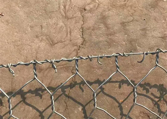 Casella di gabione esagonale riutilizzabile per la protezione delle piante