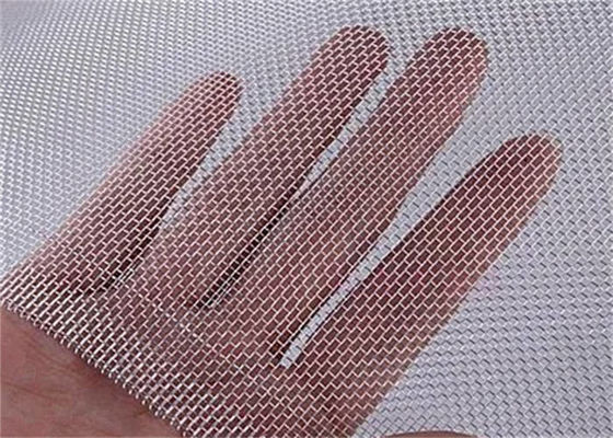 SS304 Wire Mesh Window Screen Epoxy Coated Security Mesh Screen in acciaio inossidabile